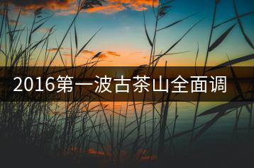 2016第一波古茶山全面調(diào)研第四站——臨滄·大雪山、小戶賽