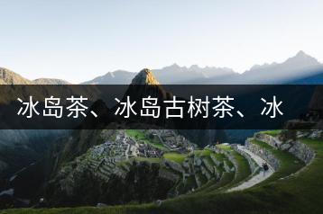 冰島茶、冰島古樹茶、冰島茶區(qū)茶、冰島茶區(qū)古樹茶