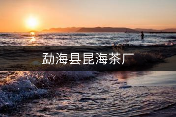 勐?？h昆海茶廠