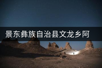 景東彝族自治縣文龍鄉(xiāng)阿才茶廠