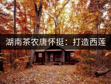 湖南茶農唐懷挺:打造西蓮茶葉品牌 做大茶葉產業(yè)規(guī)模