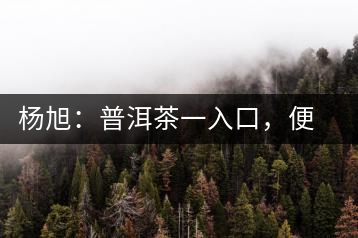 楊旭：普洱茶一入口，便知產(chǎn)地和年份