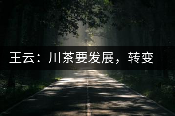 王云：川茶要發(fā)展，轉變思想是關鍵
