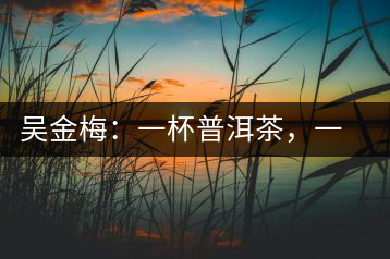 吳金梅：一杯普洱茶，一份云南情