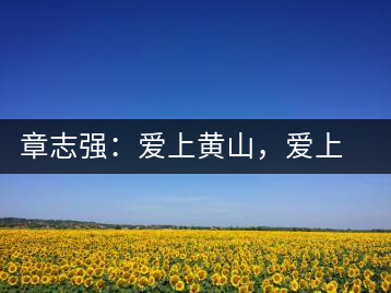 章志強(qiáng)：愛(ài)上黃山，愛(ài)上黃山的茶