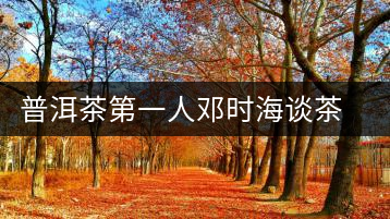 普洱茶第一人鄧時海談茶經(jīng)