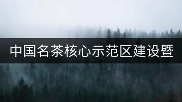 中國名茶核心示范區(qū)建設暨有機茶文化產(chǎn)業(yè)發(fā)展論壇在成都舉行 　