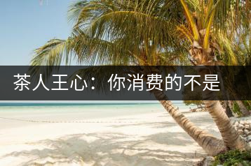 茶人王心：你消費的不是茶，是我