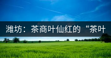 濰坊：茶商葉仙紅的“茶葉經”