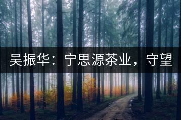 吳振華：寧思源茶業(yè)，守望家鄉(xiāng) 做好“金獎茶王”