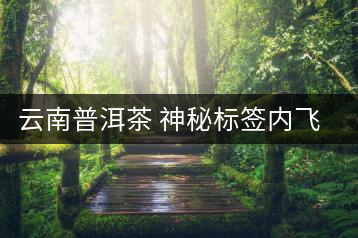 云南普洱茶 神秘標(biāo)簽內(nèi)飛歷史