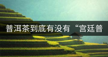 普洱茶到底有沒(méi)有“宮廷普洱”一說(shuō)？它到底是什么？
