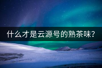 什么才是云源號的熟茶味?
