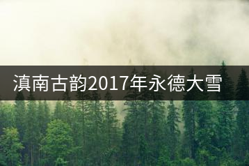 滇南古韻2017年永德大雪山開湯品鑒