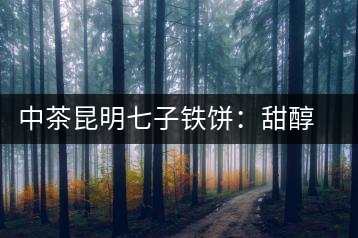 中茶昆明七子鐵餅：甜醇甘潤，陳韻綿長