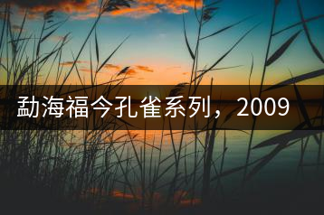 勐海福今孔雀系列，2009年尊享青餅