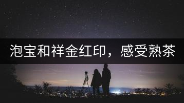 泡寶和祥金紅印，感受熟茶之美。