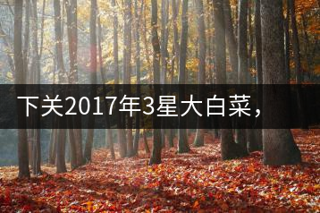 下關(guān)2017年3星大白菜，好茶從未中斷