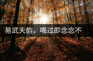 易武天韻，喝過即念念不忘的茶中皇后