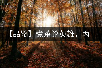 【品鑒】煮茶論英雄，丙申年易武麻黑