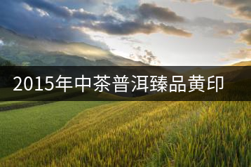 2015年中茶普洱臻品黃印專業(yè)品評