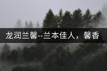 龍潤蘭馨–蘭本佳人，馨香高雅