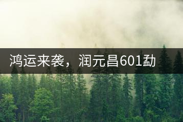鴻運(yùn)來襲，潤元昌601勐海紅韻熟茶即將上市