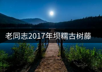 老同志2017年壩糯古樹(shù)藤條茶上市