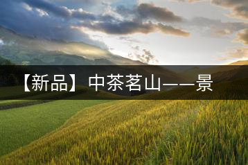 【新品】中茶茗山——景邁熟茶即將上市