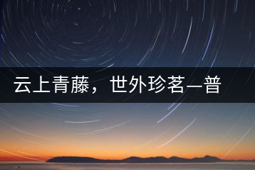 云上青藤，世外珍茗—普秀百年藤條茶即將上市