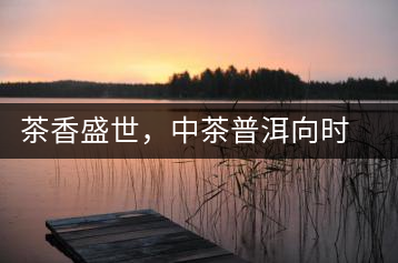 茶香盛世，中茶普洱向時(shí)代獻(xiàn)禮