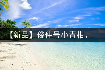 【新品】俊仲號小青柑，青果來傾城