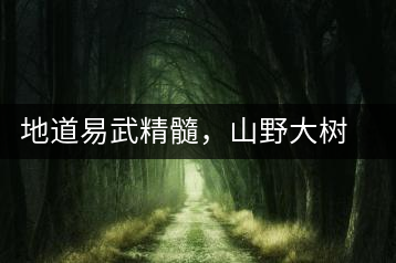 地道易武精髓，山野大樹珍品—普秀易武生態(tài)喬木圓茶即將上市