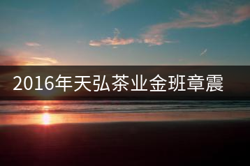 2016年天弘茶業(yè)金班章震撼上市！
