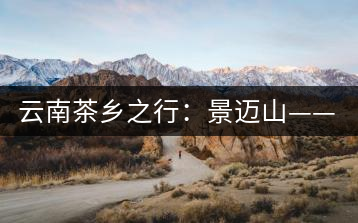 云南茶鄉(xiāng)之行：景邁山——螃蟹腳