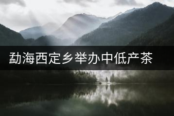 勐海西定鄉(xiāng)舉辦中低產(chǎn)茶園改造培訓