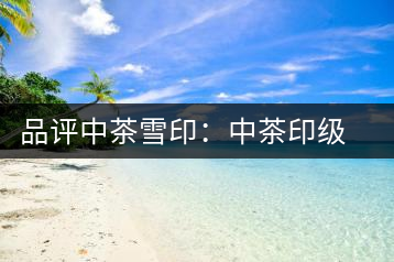 品評中茶雪?。褐胁栌〖壊璧慕?jīng)典傳承