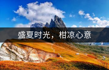 盛夏時(shí)光，柑涼心意