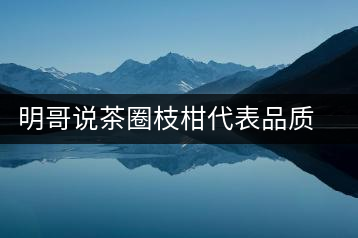 明哥說(shuō)茶圈枝柑代表品質(zhì)高點(diǎn)，是玩家級(jí)的產(chǎn)品
