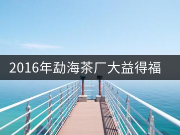 2016年勐海茶廠大益得福熟磚開湯