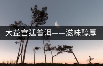 大益宮廷普洱——滋味醇厚，陳香濃郁