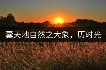 囊天地自然之大象，歷時光十載流轉(zhuǎn)-皇茶一號