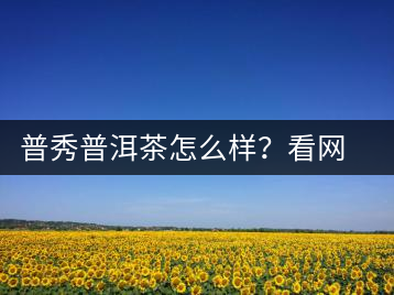 普秀普洱茶怎么樣？看網(wǎng)友精彩回答