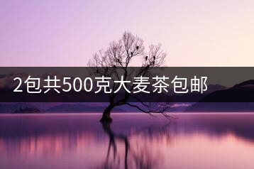 2包共500克大麥茶包郵小袋裝濃香型飯店專用茶包葉飲料小包裝原味