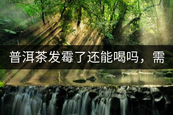 普洱茶發(fā)霉了還能喝嗎，需要怎么處理？