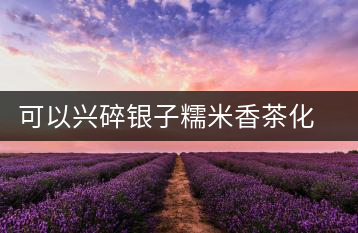 可以興碎銀子糯米香茶化石普洱茶熟茶特級易武古樹茶葉禮盒裝送禮