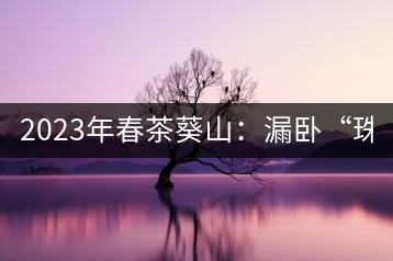 2023年春茶葵山：漏臥“珠江紅：1200元-3200元（有3個檔次）漏臥“大廠茶”：古樹單株8600-9000元／公斤，中樹4800-5200元／公斤，小樹混采2600-2800元／公斤。