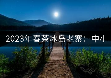 2023年春茶冰島老寨：中小樹混采2500-3000元／公斤，大樹：7000-8000元／公斤，古樹混采：28000-36000元／公斤
