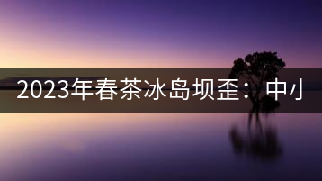 2023年春茶冰島壩歪：中小樹800元／公斤，古樹1400-1600元／公斤