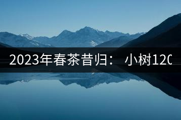 2023年春茶昔歸： 小樹(shù)1200-1600元／公斤，大樹(shù)4500-5200元／公斤，古樹(shù)7500-9000元／公斤.